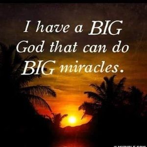 Meet your Posher, Zico